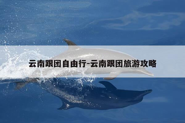 云南跟团自由行-云南跟团旅游攻略-第1张图片-优惠活动网 云南跟团自由行-云南跟团旅游攻略-第1张图片-优惠活动网