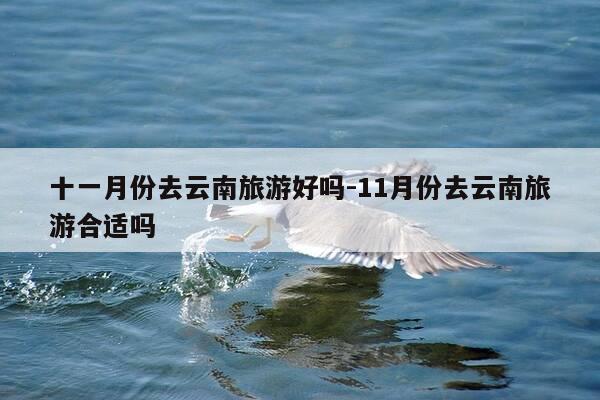 十一月份去云南旅游好吗-11月份去云南旅游合适吗-第1张图片-优惠活动网 十一月份去云南旅游好吗-11月份去云南旅游合适吗-第1张图片-优惠活动网