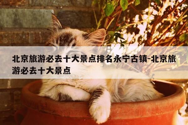 北京旅游必去十大景点排名永宁古镇-北京旅游必去十大景点-第1张图片-优惠活动网 北京旅游必去十大景点排名永宁古镇-北京旅游必去十大景点-第1张图片-优惠活动网