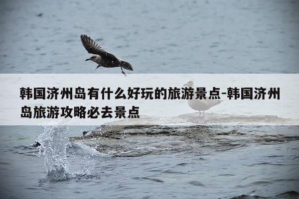 韩国济州岛有什么好玩的旅游景点-韩国济州岛旅游攻略必去景点-第1张图片-优惠活动网