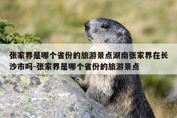 张家界是哪个省份的旅游景点湖南张家界在长沙市吗-张家界是哪个省份的旅游景点-第1张图片-优惠活动网