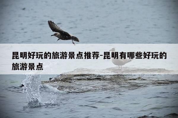 昆明好玩的旅游景点推荐-昆明有哪些好玩的旅游景点-第1张图片-优惠活动网 昆明好玩的旅游景点推荐-昆明有哪些好玩的旅游景点-第1张图片-优惠活动网