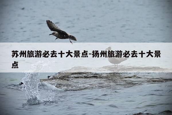 苏州旅游必去十大景点-扬州旅游必去十大景点-第1张图片-优惠活动网 苏州旅游必去十大景点-扬州旅游必去十大景点-第1张图片-优惠活动网