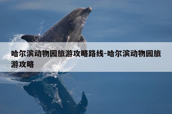 哈尔滨动物园旅游攻略路线-哈尔滨动物园旅游攻略-第1张图片-优惠活动网 哈尔滨动物园旅游攻略路线-哈尔滨动物园旅游攻略-第1张图片-优惠活动网