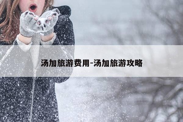 汤加旅游费用-汤加旅游攻略-第1张图片-优惠活动网