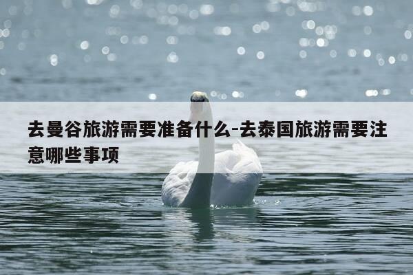 去曼谷旅游需要准备什么-去泰国旅游需要注意哪些事项-第1张图片-优惠活动网