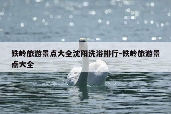 铁岭旅游景点大全沈阳洗浴排行-铁岭旅游景点大全-第1张图片-优惠活动网