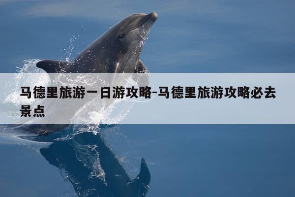 马德里旅游一日游攻略-马德里旅游攻略必去景点-第1张图片-优惠活动网