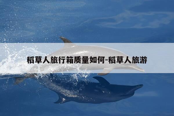 稻草人旅行箱质量如何-稻草人旅游-第1张图片-优惠活动网