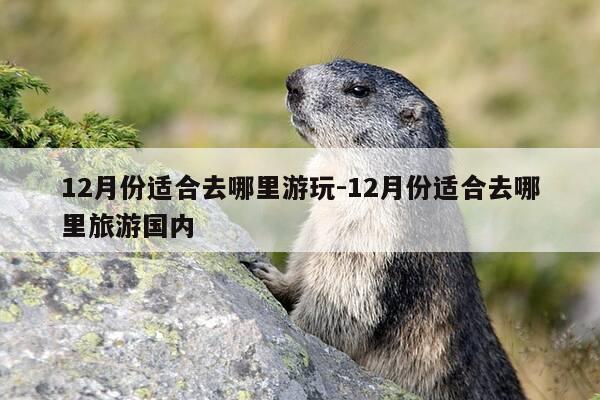 12月份适合去哪里游玩-12月份适合去哪里旅游国内-第1张图片-优惠活动网