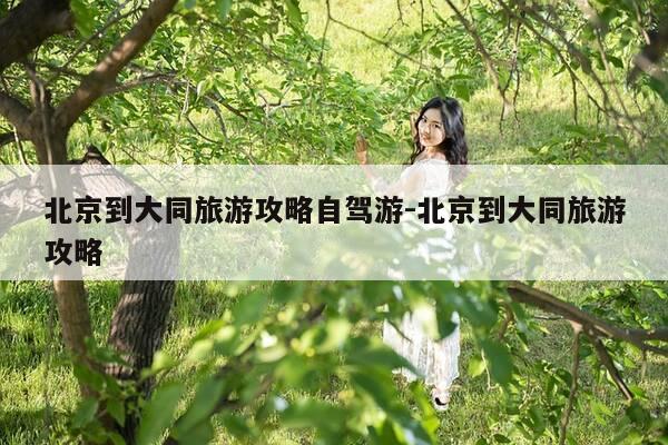 北京到大同旅游攻略自驾游-北京到大同旅游攻略-第1张图片-优惠活动网