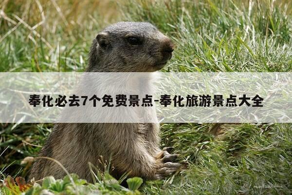 奉化必去7个免费景点-奉化旅游景点大全-第1张图片-优惠活动网