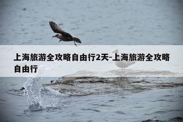 上海旅游全攻略自由行2天-上海旅游全攻略自由行-第1张图片-优惠活动网