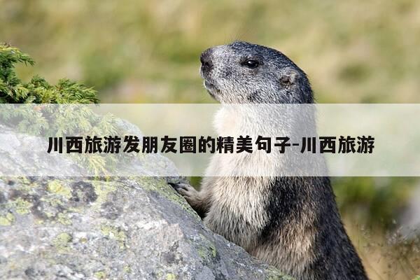 川西旅游发朋友圈的精美句子-川西旅游-第1张图片-优惠活动网