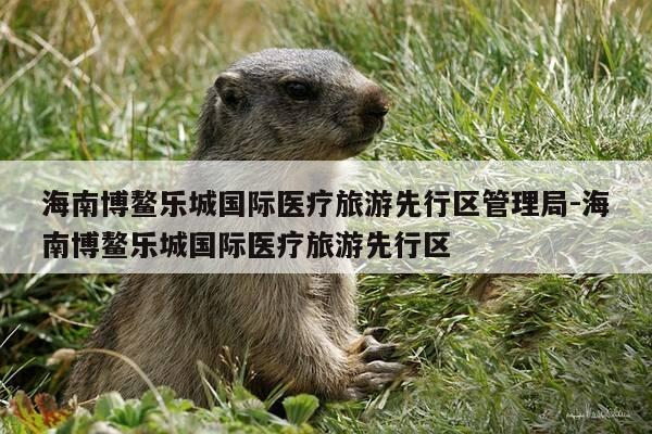 海南博鳌乐城国际医疗旅游先行区管理局-海南博鳌乐城国际医疗旅游先行区-第1张图片-优惠活动网