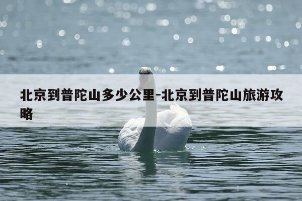 北京到普陀山多少公里-北京到普陀山旅游攻略-第1张图片-优惠活动网
