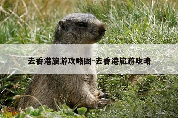 去香港旅游攻略图-去香港旅游攻略-第1张图片-优惠活动网
