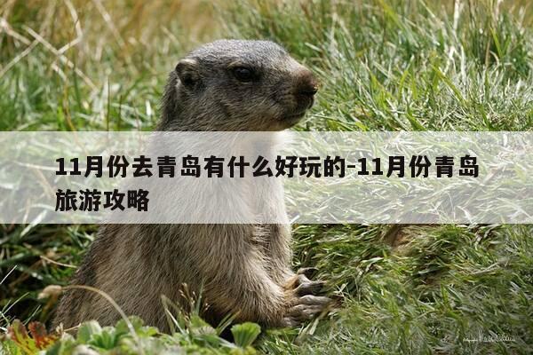 11月份去青岛有什么好玩的-11月份青岛旅游攻略-第1张图片-优惠活动网