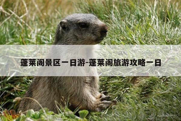 蓬莱阁景区一日游-蓬莱阁旅游攻略一日-第1张图片-优惠活动网