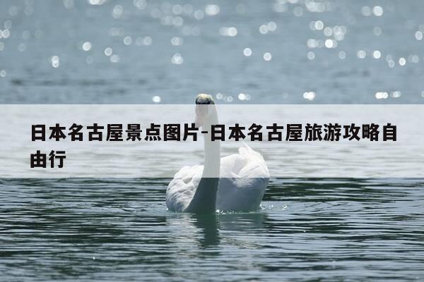 日本名古屋景点图片-日本名古屋旅游攻略自由行-第1张图片-优惠活动网