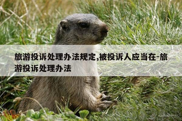 旅游投诉处理办法规定,被投诉人应当在-旅游投诉处理办法-第1张图片-优惠活动网