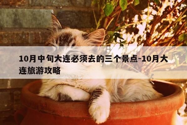 10月中旬大连必须去的三个景点-10月大连旅游攻略-第1张图片-优惠活动网