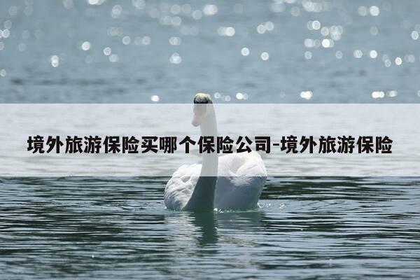 境外旅游保险买哪个保险公司-境外旅游保险-第1张图片-优惠活动网