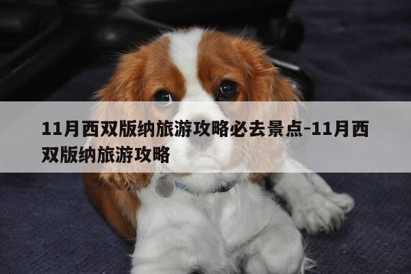11月西双版纳旅游攻略必去景点-11月西双版纳旅游攻略-第1张图片-优惠活动网 11月西双版纳旅游攻略必去景点-11月西双版纳旅游攻略-第1张图片-优惠活动网