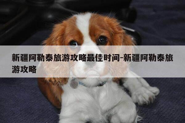 新疆阿勒泰旅游攻略最佳时间-新疆阿勒泰旅游攻略-第1张图片-优惠活动网