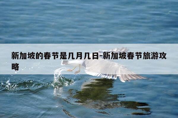 新加坡的春节是几月几日-新加坡春节旅游攻略-第1张图片-优惠活动网