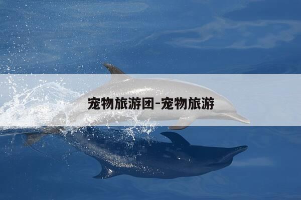 宠物旅游团-宠物旅游-第1张图片-优惠活动网 宠物旅游团-宠物旅游-第1张图片-优惠活动网