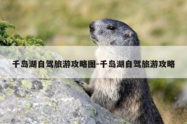 千岛湖自驾旅游攻略图-千岛湖自驾旅游攻略-第1张图片-优惠活动网