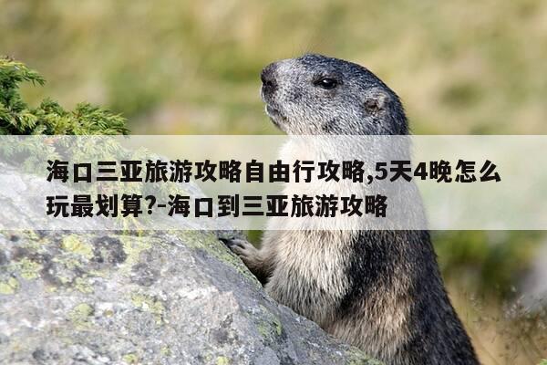 海口三亚旅游攻略自由行攻略,5天4晚怎么玩最划算?-海口到三亚旅游攻略-第1张图片-优惠活动网 海口三亚旅游攻略自由行攻略,5天4晚怎么玩最划算?-海口到三亚旅游攻略-第1张图片-优惠活动网