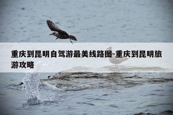 重庆到昆明自驾游最美线路图-重庆到昆明旅游攻略-第1张图片-优惠活动网 重庆到昆明自驾游最美线路图-重庆到昆明旅游攻略-第1张图片-优惠活动网