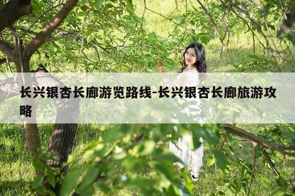 长兴银杏长廊游览路线-长兴银杏长廊旅游攻略-第1张图片-优惠活动网 长兴银杏长廊游览路线-长兴银杏长廊旅游攻略-第1张图片-优惠活动网