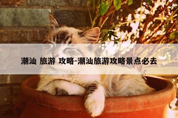 潮汕 旅游 攻略-潮汕旅游攻略景点必去-第1张图片-优惠活动网