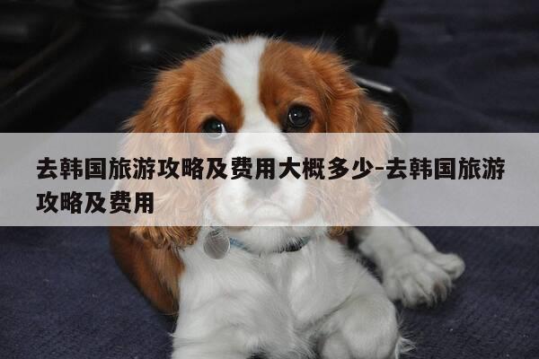 去韩国旅游攻略及费用大概多少-去韩国旅游攻略及费用-第1张图片-优惠活动网 去韩国旅游攻略及费用大概多少-去韩国旅游攻略及费用-第1张图片-优惠活动网