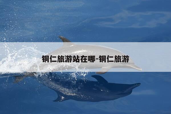 铜仁旅游站在哪-铜仁旅游-第1张图片-优惠活动网