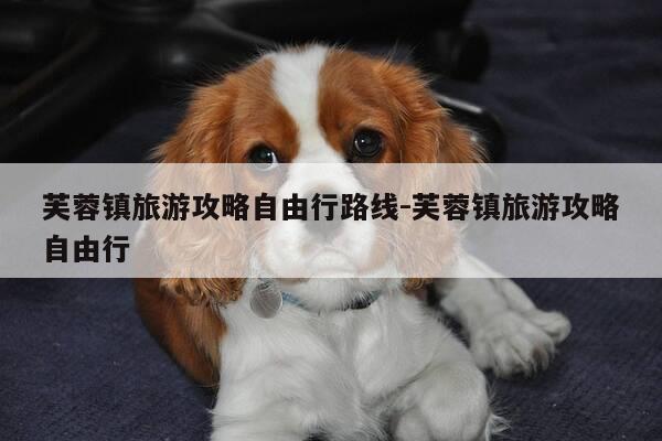 芙蓉镇旅游攻略自由行路线-芙蓉镇旅游攻略自由行-第1张图片-优惠活动网 芙蓉镇旅游攻略自由行路线-芙蓉镇旅游攻略自由行-第1张图片-优惠活动网