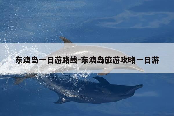 东澳岛一日游路线-东澳岛旅游攻略一日游-第1张图片-优惠活动网 东澳岛一日游路线-东澳岛旅游攻略一日游-第1张图片-优惠活动网