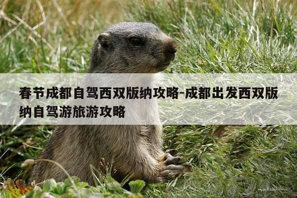 春节成都自驾西双版纳攻略-成都出发西双版纳自驾游旅游攻略-第1张图片-优惠活动网 春节成都自驾西双版纳攻略-成都出发西双版纳自驾游旅游攻略-第1张图片-优惠活动网