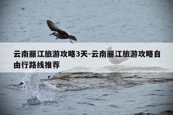 云南丽江旅游攻略3天-云南丽江旅游攻略自由行路线推荐-第1张图片-优惠活动网 云南丽江旅游攻略3天-云南丽江旅游攻略自由行路线推荐-第1张图片-优惠活动网