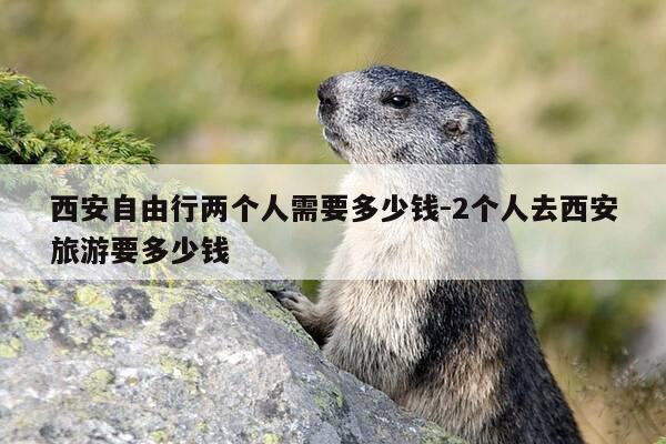 西安自由行两个人需要多少钱-2个人去西安旅游要多少钱-第1张图片-优惠活动网 西安自由行两个人需要多少钱-2个人去西安旅游要多少钱-第1张图片-优惠活动网