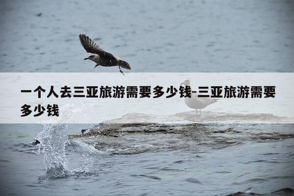 一个人去三亚旅游需要多少钱-三亚旅游需要多少钱-第1张图片-优惠活动网 一个人去三亚旅游需要多少钱-三亚旅游需要多少钱-第1张图片-优惠活动网