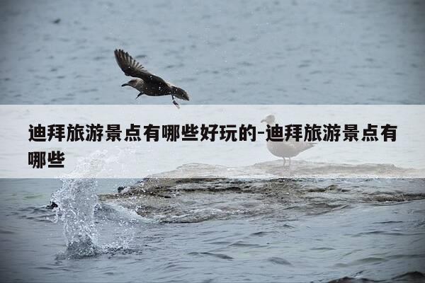 迪拜旅游景点有哪些好玩的-迪拜旅游景点有哪些-第1张图片-优惠活动网 迪拜旅游景点有哪些好玩的-迪拜旅游景点有哪些-第1张图片-优惠活动网