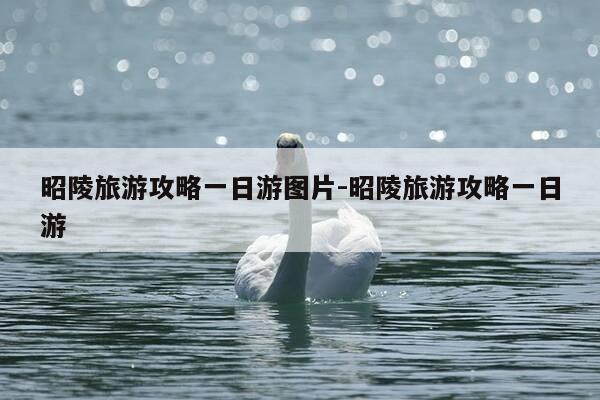 昭陵旅游攻略一日游图片-昭陵旅游攻略一日游-第1张图片-优惠活动网 昭陵旅游攻略一日游图片-昭陵旅游攻略一日游-第1张图片-优惠活动网