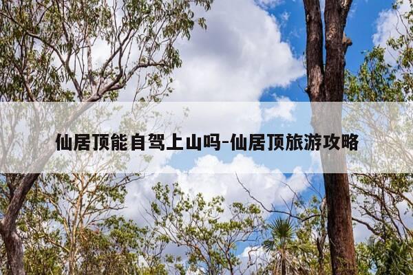 仙居顶能自驾上山吗-仙居顶旅游攻略-第1张图片-优惠活动网 仙居顶能自驾上山吗-仙居顶旅游攻略-第1张图片-优惠活动网