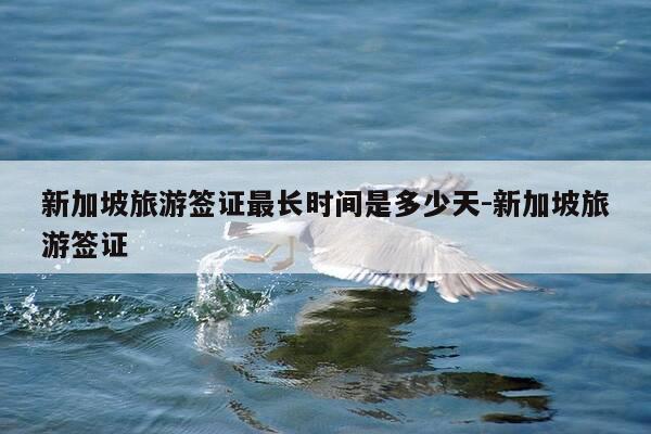 新加坡旅游签证最长时间是多少天-新加坡旅游签证-第1张图片-优惠活动网