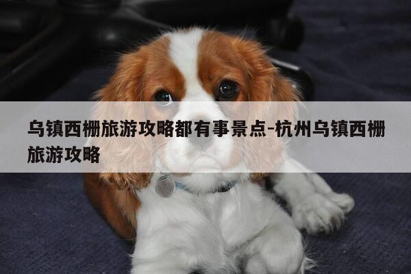 乌镇西栅旅游攻略都有事景点-杭州乌镇西栅旅游攻略-第1张图片-优惠活动网 乌镇西栅旅游攻略都有事景点-杭州乌镇西栅旅游攻略-第1张图片-优惠活动网