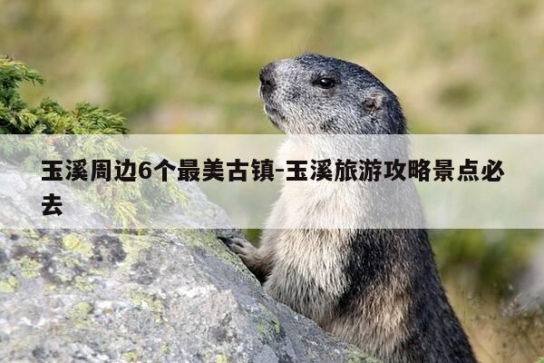 玉溪周边6个最美古镇-玉溪旅游攻略景点必去-第1张图片-优惠活动网 玉溪周边6个最美古镇-玉溪旅游攻略景点必去-第1张图片-优惠活动网